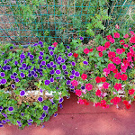 Photo n°24 de l'avis de Stefania.a fait le 14/08/2020 à 21:17 sur le  Budoni Resort à Agrustos