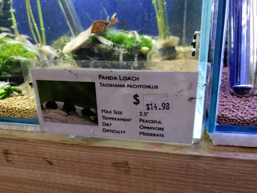 Tropical Fish Store «C K Fish World», reviews and photos, 410 N Azusa Ave, West Covina, CA 91791, USA
