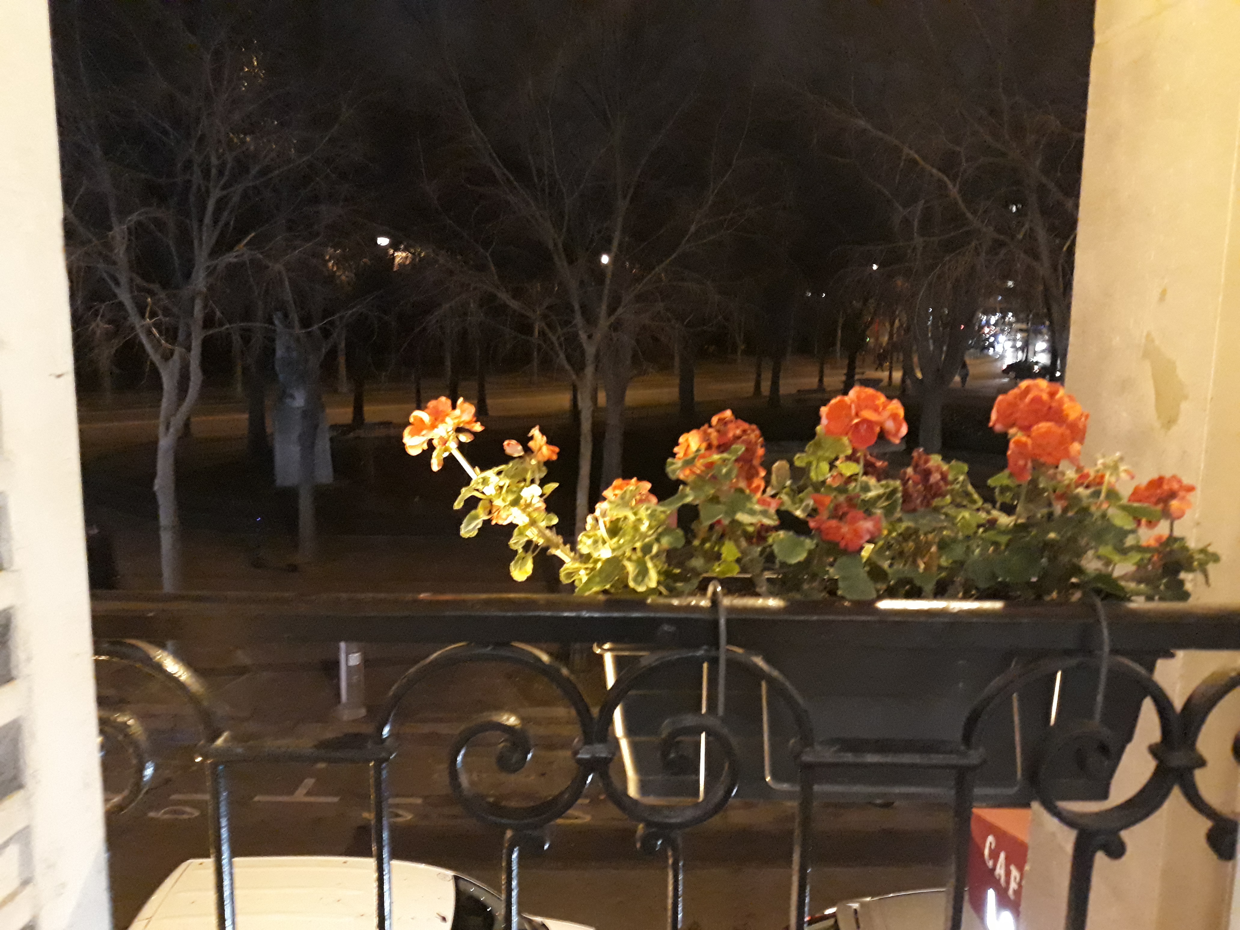 Photo n° 10 de l'avis de Carmen.e fait le 17/01/2019 à 14:41