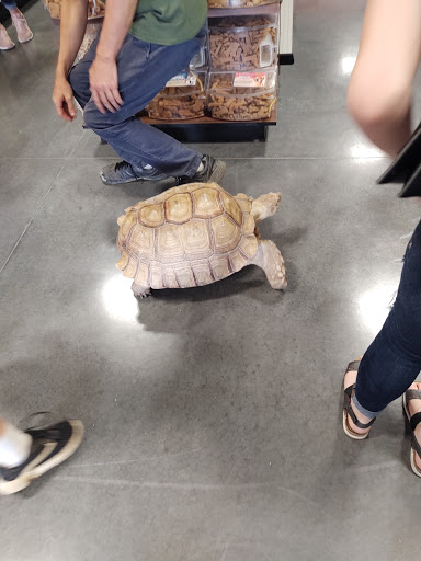 Pet Groomer «We Lov Pets», reviews and photos, 3853 Northpointe Dr, Zanesville, OH 43701, USA