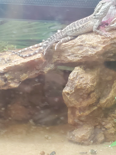 Pet Supply Store «PetSmart», reviews and photos, 9 Highland Common E, Hudson, MA 01749, USA