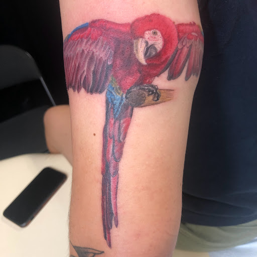 Explore dinosaur tattoo ideas, creative tattoo ideas in Englewood, available at Point of Entry Tattoo