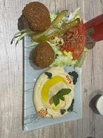 Falafel du Restaurant libanais Al Tarboush à Dijon - n°4