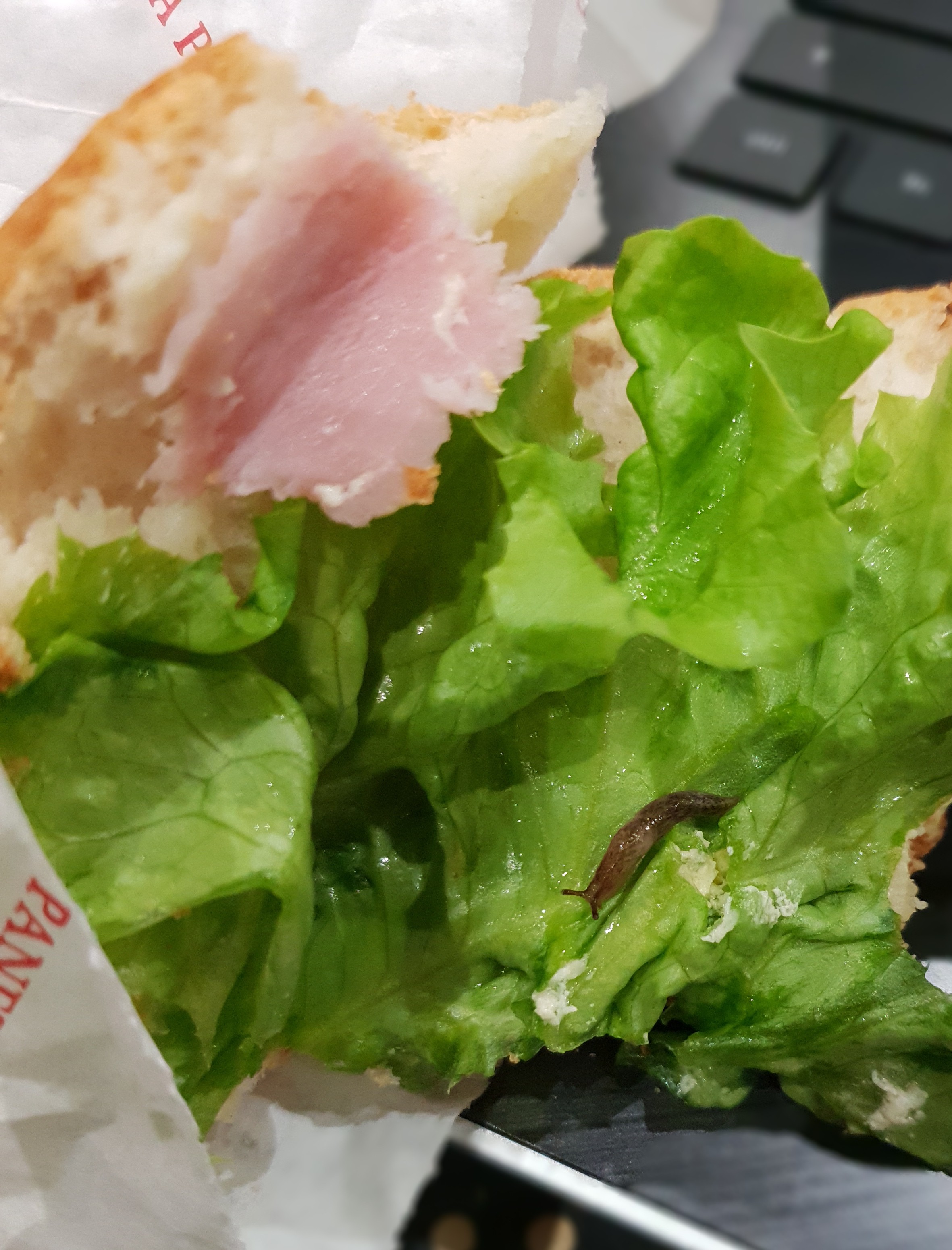 Photo n° 1 de l'avis de Elia.C fait le 13/03/2019 à 12:54