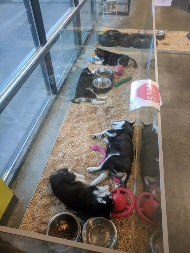 Pet Store «Critter Cabana - Wilsonville», reviews and photos, 8406 SW Main St #200, Wilsonville, OR 97070, USA