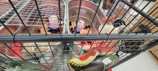 Home Improvement Store «Tractor Supply Co.», reviews and photos, 2423 N Lebanon St, Lebanon, IN 46052, USA