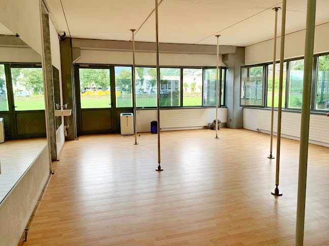Rezensionen über ACpoledance Riazzino in Lugano - Tanzschule