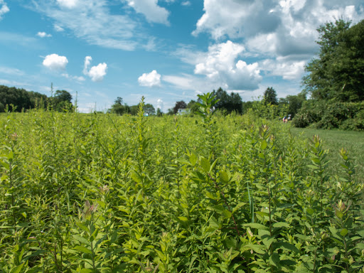 Nature Preserve «Teetertown Ravine Nature Preserve», reviews and photos, 30 Pleasant Grove Rd, Port Murray, NJ 07865, USA