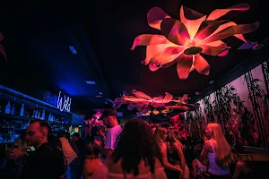 Wild Club Lloret image