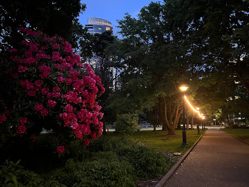 Park «Denny Park», reviews and photos, 100 Dexter Ave N, Seattle, WA 98109, USA