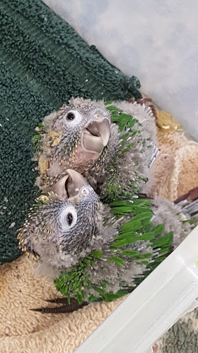 Pet Store «Tanks Pet Supply», reviews and photos, 628 S Main St, Princeton, IL 61356, USA