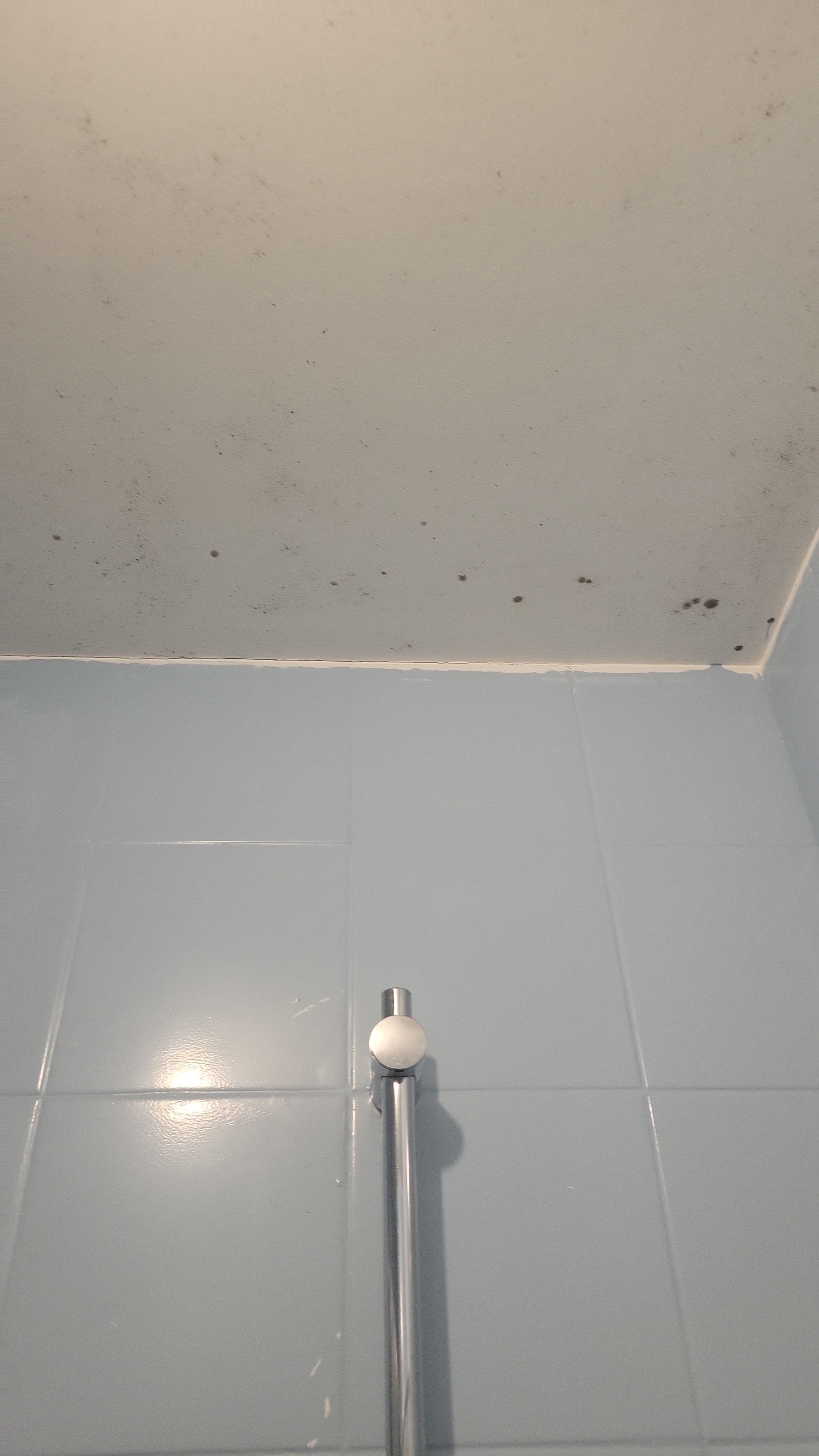 Photo n° 5 de l'avis de Nour. fait le 27/12/2023 à 19:28