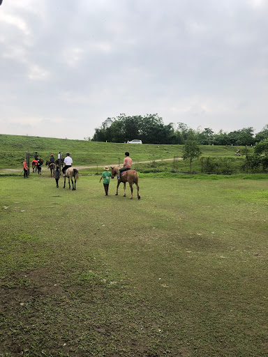 Hanoi Pony Club