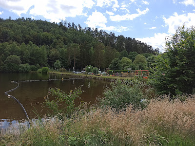 Muehlenbach à Sturzelbronn