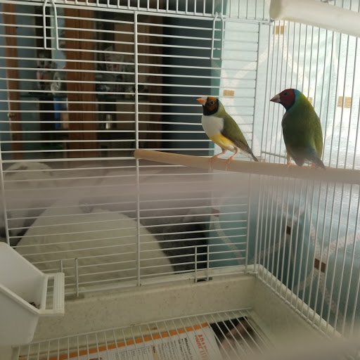 Pet Supply Store «Pet Supplies Plus», reviews and photos, 6159 Kalamazoo Ave SE, Grand Rapids, MI 49508, USA