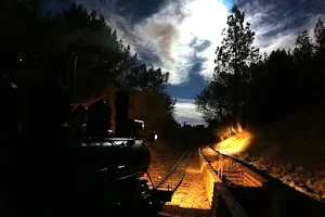 Tilden Park Steam Train at the Redwood Valley Railway image