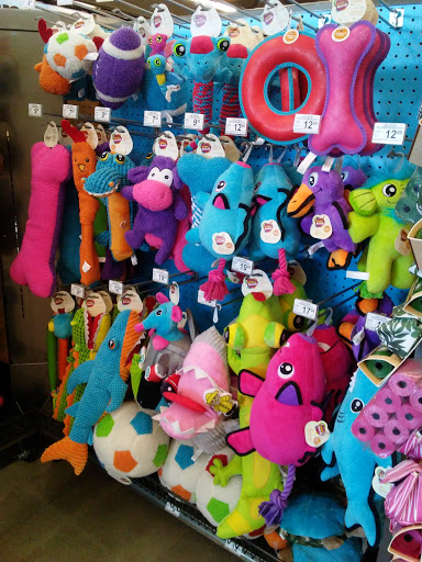 Pet Supply Store «Petco Animal Supplies», reviews and photos, 190 Quality Dr, Hooksett, NH 03106, USA