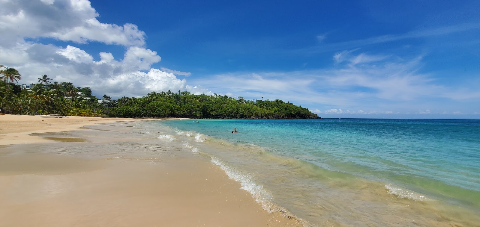 Foto di Spiaggia delle balene con una superficie del sabbia beige fine