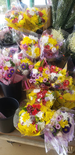 Produce Market «Produce Junction Inc», reviews and photos, 265 S Easton Rd, Glenside, PA 19038, USA