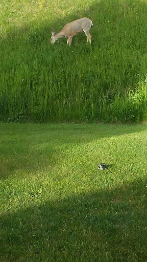 Catholic Cathedral «Cathedral of St. Helena», reviews and photos