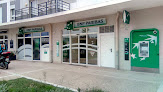 Banque BNP Paribas - Avignon Montfavet 84140 Avignon