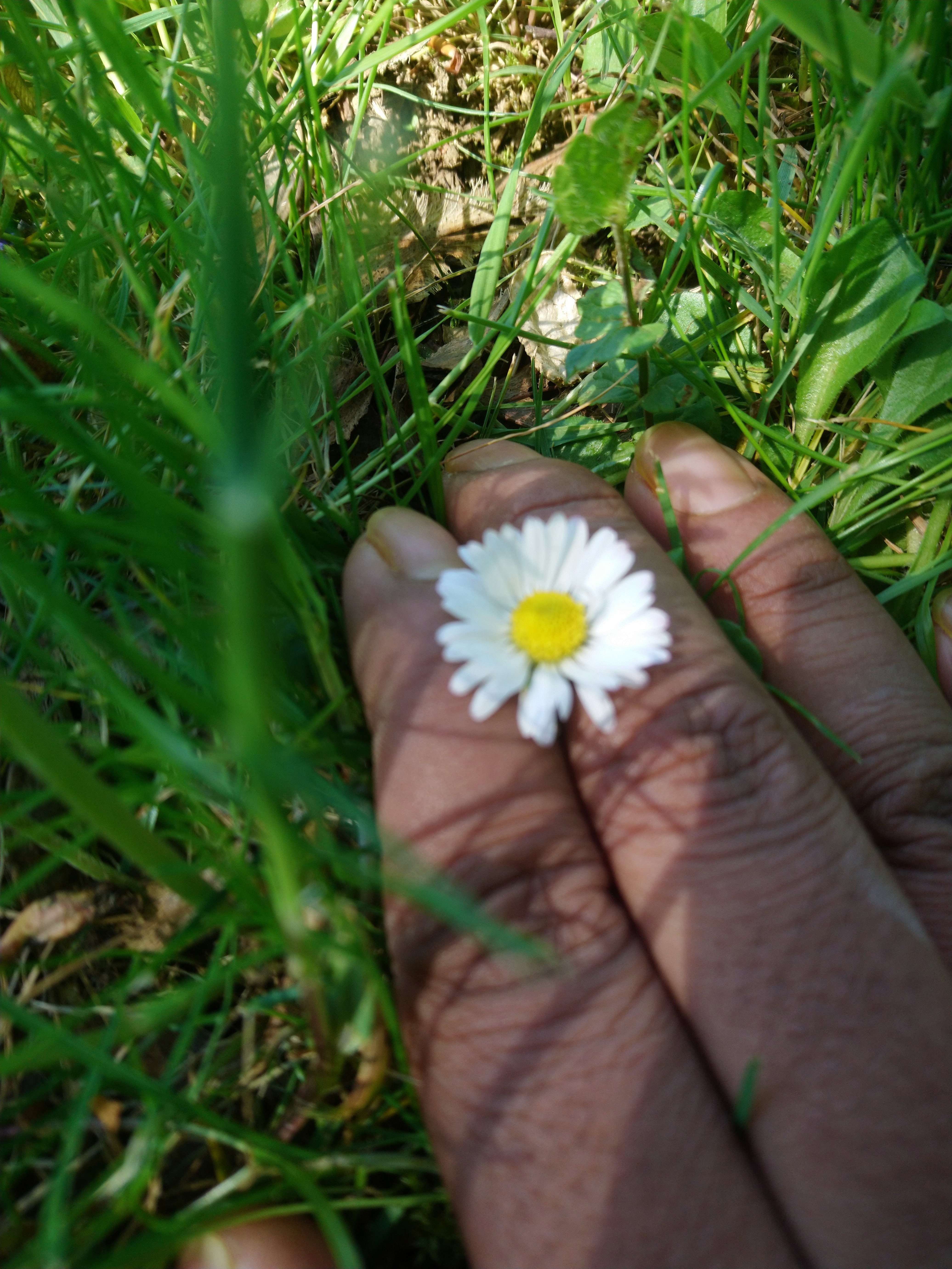 Photo n° 2 de l'avis de MAKSUDUL.A fait le 20/05/2019 à 13:19