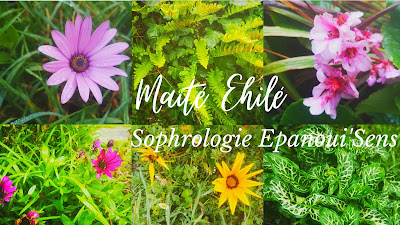 Marie-Maïté Ehilé Sophrologue certifiée - Nutripunctrice : Gestion des émotions, Anxiété, Stress, douleur à Plozévet