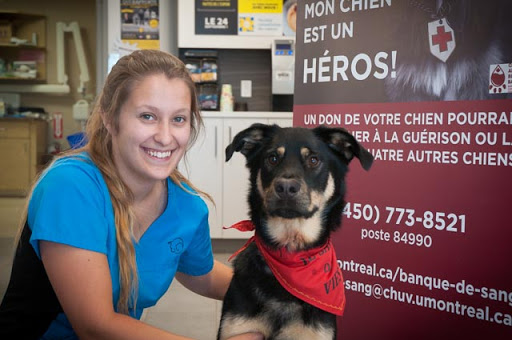 Veterinary Hospital Caouette and Rochon GP image