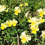 Photo n°5 de l'avis de Enrico.e fait le 23/05/2021 à 14:12 sur le  Il Grifone à Petrella Liri