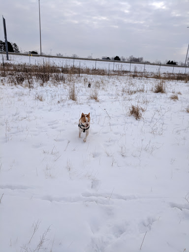 Dog Park «Beck Lake Off-Leash Dog Area», reviews and photos, 9700 Gloria Ct, Glenview, IL 60025, USA