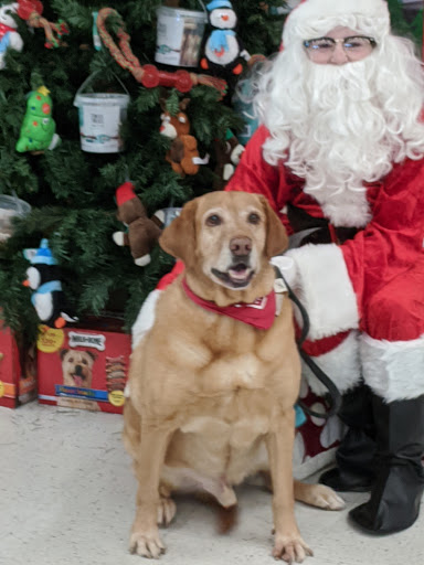 Pet Supply Store «PetSmart», reviews and photos, 625 Baltimore Blvd, Westminster, MD 21157, USA