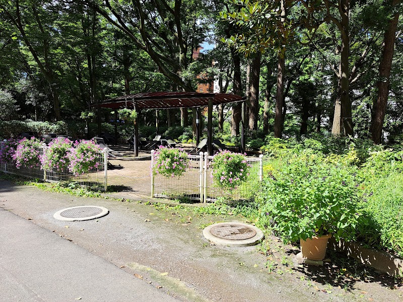 新宿中央公園 ランチコーナー