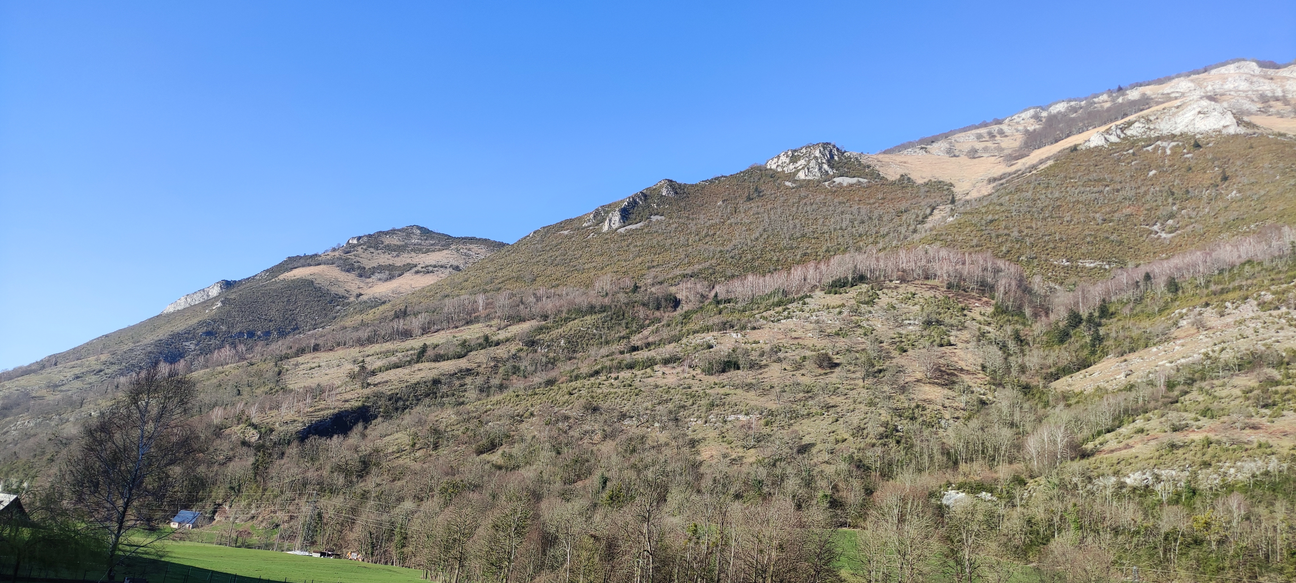 Photo n° 3 de l'avis de Ga'Hell.� fait le 08/03/2021 à 18:03