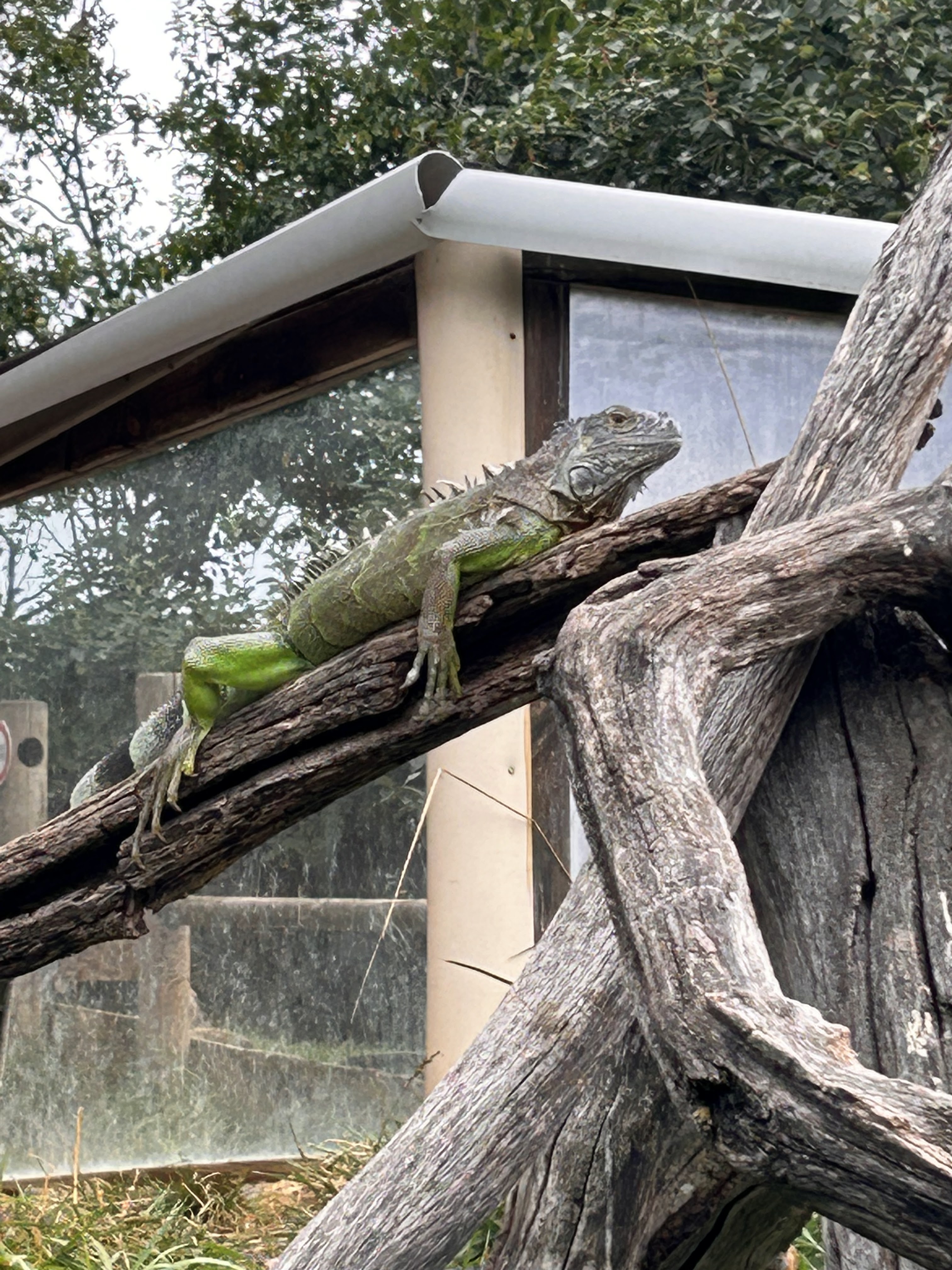 Photo n° 4 de l'avis de Adeline. fait le 18/08/2023 à 22:13