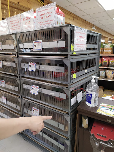 Animal Feed Store «Reber Ranch», reviews and photos, 28606 132nd Ave SE, Kent, WA 98042, USA