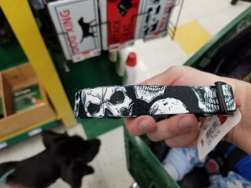 Pet Supply Store «Pet Supplies Plus», reviews and photos, 3100 Manchester Rd, Akron, OH 44319, USA