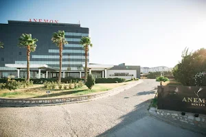 Anemon Denizli Hotel image