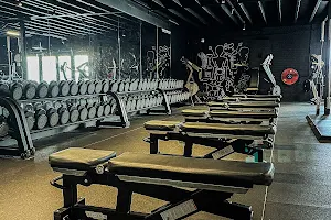 the real gym Bilthoven image