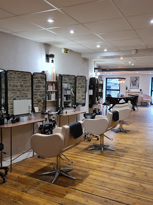 Aurélie J. Le loft coiffeur coloriste expert & soins du cheveu à Plérin