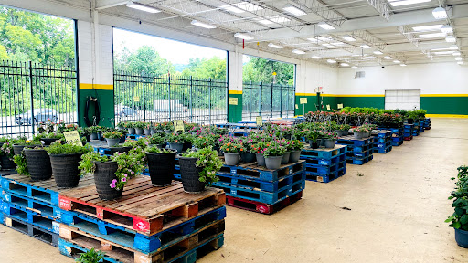 Produce Market «Produce Junction Inc», reviews and photos, 272 Pottstown Pike, Exton, PA 19341, USA