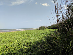 Photo de ECR Beach avec un niveau de propreté de assez propre