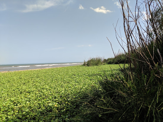 ECR Beach