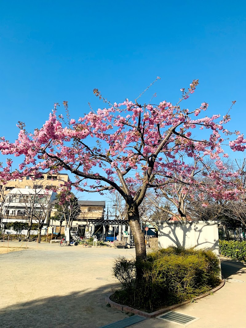 豊島区立染井よしの桜の里公園