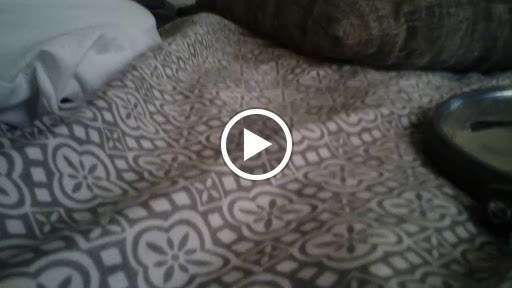 Grocery Store «Xinantecatl Grocery Store», reviews and photos, 128 N Main St, Souderton, PA 18964, USA