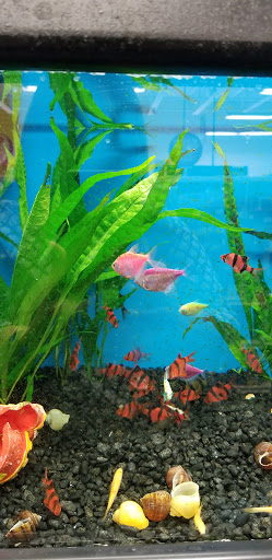 Pet Supply Store «Pet Supermarket», reviews and photos, 801 E Sunrise Blvd, Fort Lauderdale, FL 33304, USA