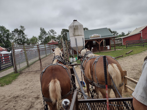 Zoo «Dutch Creek Farm Animal Park», reviews and photos, 6255 N 1000 W, Shipshewana, IN 46565, USA