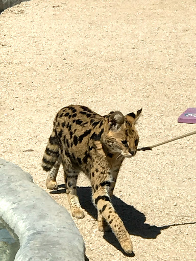 The Teaching Zoo at Moorpark College image