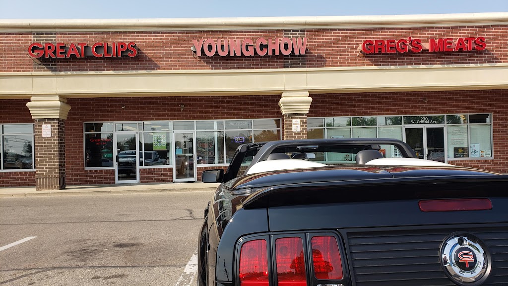 New Young Chow Restaurant 45066