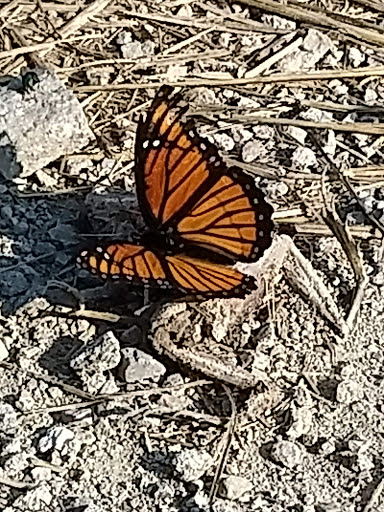 Nature Preserve «Marais Temps Clair Conservation Area», reviews and photos, 5134 Island Road, St Charles, MO 63301, USA