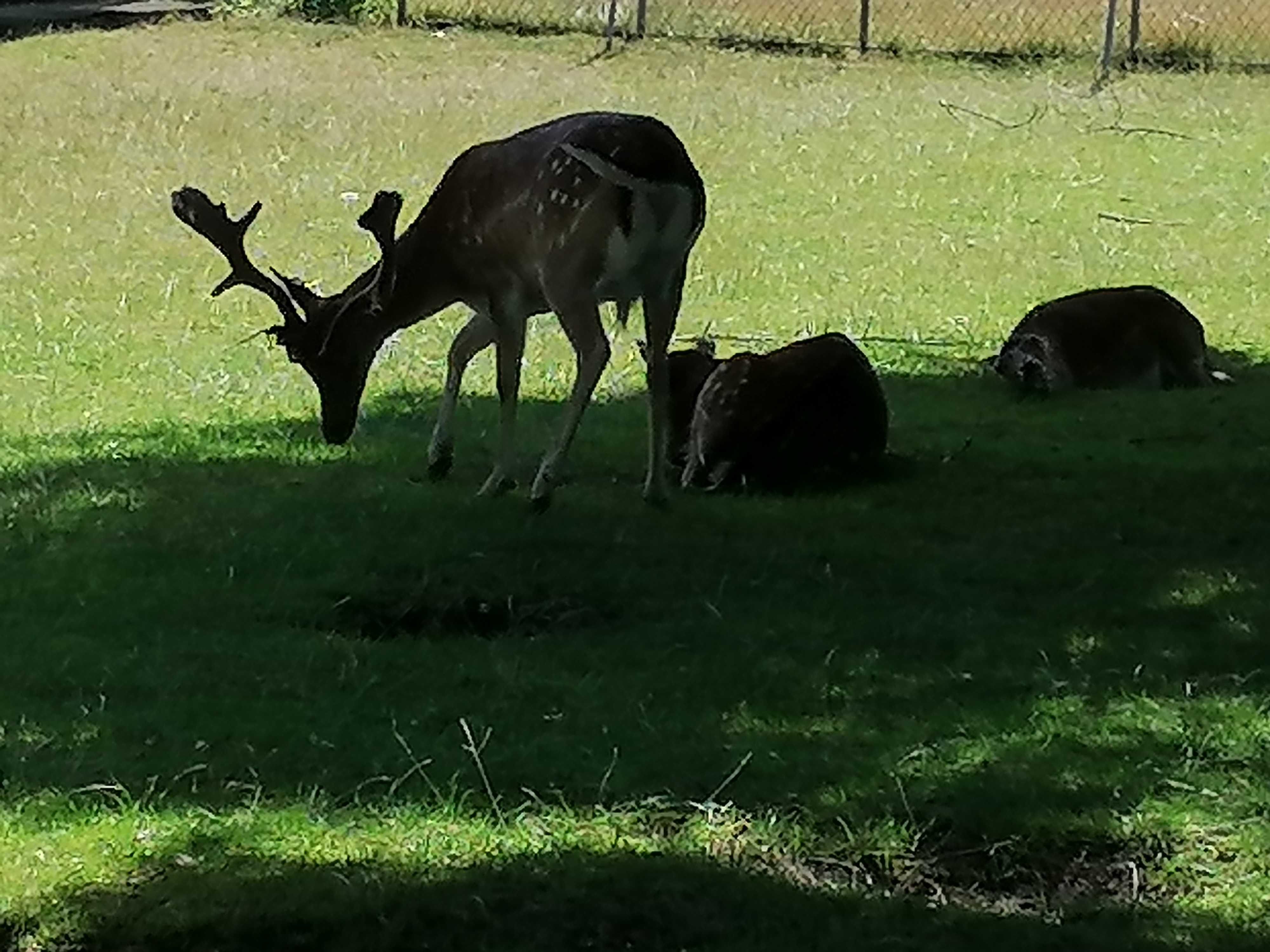 Photo n° 2 de l'avis de Mamy.a fait le 20/07/2022 à 17:32